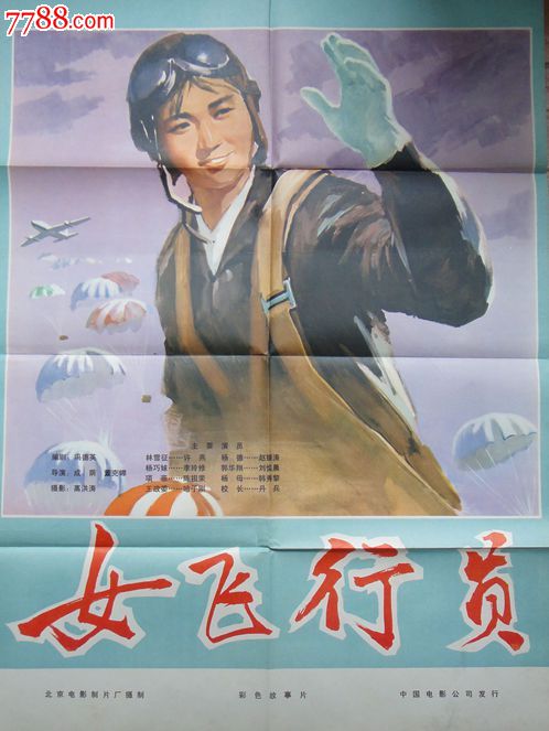 办假的南澳大利亚驾驶证